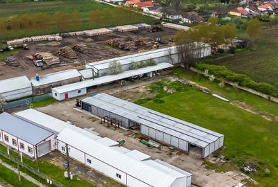 Hale depozitare/producție 2.000 mp si 10.000 mp teren în Pecica - 2