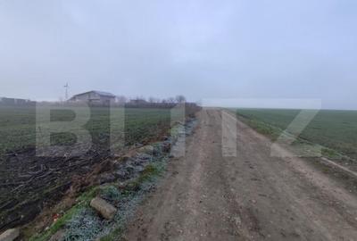 Teren de 8400 mp, în Miroslava - 4