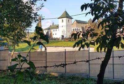 Casă individuală cu 3 camere cu Teren 16000 Mp în Govora - 8