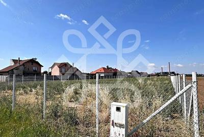 Teren intravilan 2500 mp de inchiriat in zona Oncea, Oradea - 3