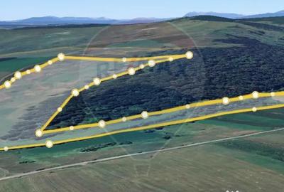 Teren în Jibert - 3