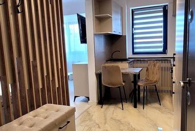 Apartament cu 1 camera Visan - 7