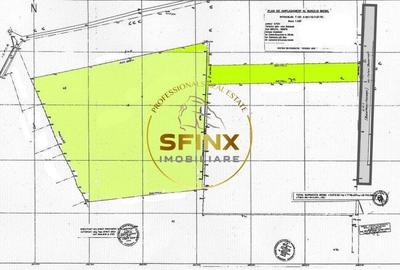 Teren Balotesti DN1 - 4