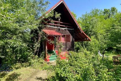 Casa Vacanta Babana! 35mp + Teren 1077mp cu Parau. Langa Pitesti. - 2