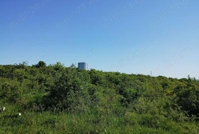 Teren de 350 mp, în Cercu - 3
