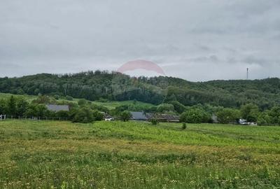Teren Construcții intravilan de 1495 mp, în Dobreni - 4