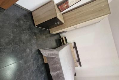 Garsonieră decomandată în Turnișor - 4