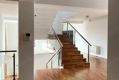 Oportunitate de afacere: spa?iu de inchiriat 650 mp in Arad - 5