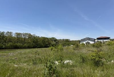 Teren Construcții intravilan de 7500 mp, în Brănești