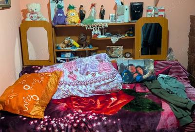 Casa de vanzare Rosiori de Vede - 9