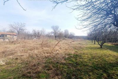 Casa D+P+M, situata in Arcani (Campofeni) - 10