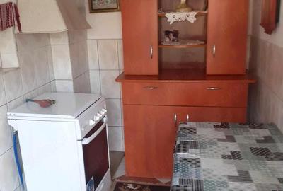 Casă cu 3 camere cu Teren 1600 Mp în Ionești - 6