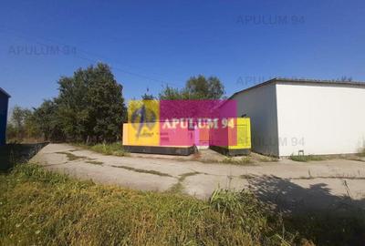 Spațiu industrial, de 4,850 mp, în 1 Decembrie - 35