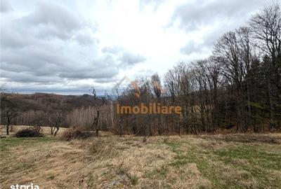 Teren de 34000 mp, în Borod - 2