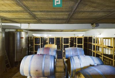 Casă individuală cu 6 camere cu Canalizare în Miniș - 18