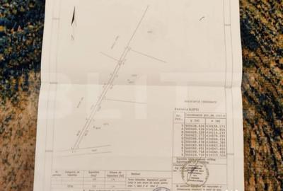 Teren de 4990 mp, în Valea Doftanei - 2