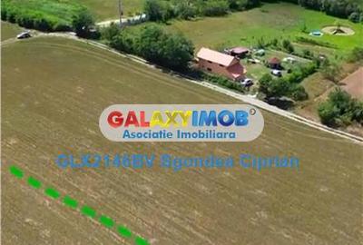 Teren de 1633 mp, în Feldioara - 5