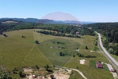 Teren 5,561mp Paltinoasa / Strada principala - 10