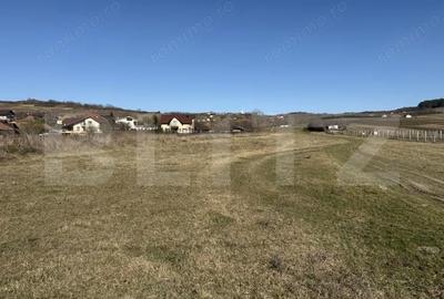 Teren de 2900 mp, în Hereclean - 4