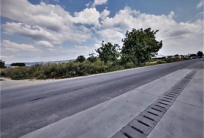 Teren de 7226 mp, în Letea - 4