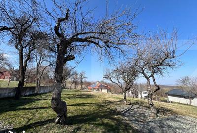 Casă cu 3 camere cu Teren 1300 Mp în Feleacu - 3