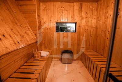 Cabana A-frame 5 camere la Belis / Business functional si profitabil - 14