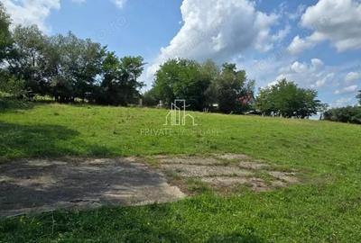 Teren, Albe?ti, str Podului - 11