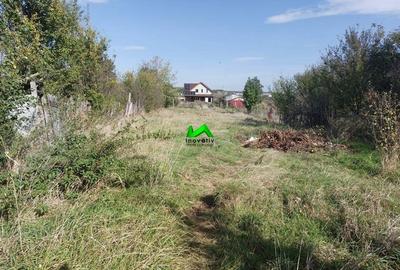 Casa de vanzare teren 1400mp Sibiu Cristian - 8