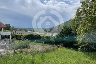 Teren Construcții intravilan de 1340 mp, în Cisnădioara - 3