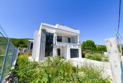 Casa Individuala | Roata Faget | Vitraje ample - 20