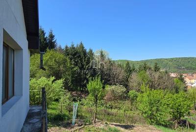 Casă individuală cu 4 camere cu Teren 350 Mp în Central - 4