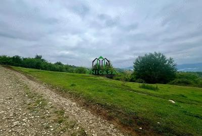 Teren de 3507 mp, în Seaca (Călimănești) - 2