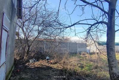 Casă cu 3 camere cu Teren 1125 Mp în Parța - 18