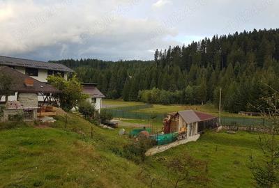 Teren de 1360 mp, în Voroneț - 3