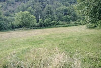 Teren de 3562 mp, în Vața de Sus - 3