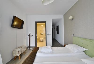 Apartament confortabil 3 cam Silver Mountain - 7