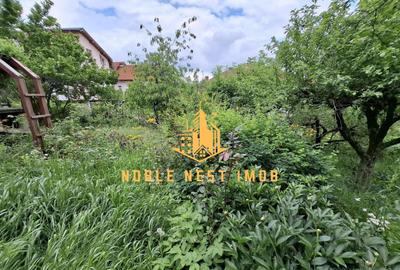 Vila 7 camere, Strada TRIVALE, Teren 1150 mp - COMISION 0% - 18