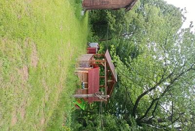 Casă cu 2 camere cu Teren 5500 Mp în Sibișel (Beriu) - 1