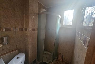 Casă spațioasă - Varianta Prundu Craiovei - 12