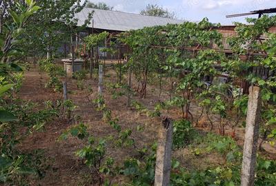 Casă cu 3 camere în Vânători - 1