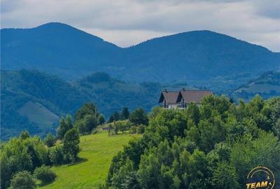 Proprietate + teren 10.400 mp incantoare pozitionare, Poiana Marului, Brasov - 10