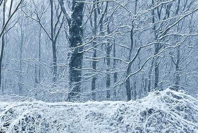 S1 Pădurea Baneasa Apartament Duplex în Vilă  Renovat Metro M6 Stația Bruxelles S1 Pădurea Baneasa Apartament Duplex în Vilă  Renovat Metro M6 Stația Bruxelles - 24