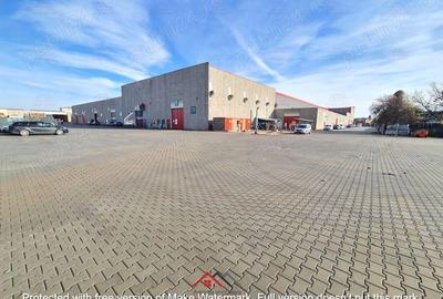 Hale noi in Baicoi, Ph--13.000mp--3e - 5