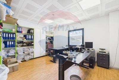 Spațiu industrial, de 472.66000366211 mp, în Theodor Pallady - 11