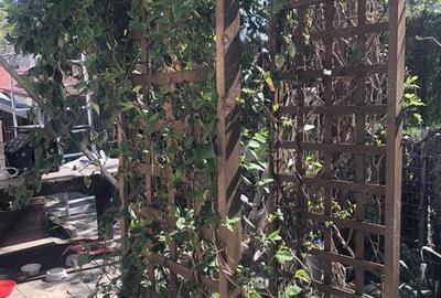 Casă cu 4 camere cu Teren 160 Mp în Central - 1