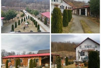 Casa P+M, Malureni -Toplita,  teren 2.798mp - 43