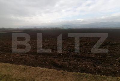 Teren extravilan 21300 mp zona Vintu de Jos - 1