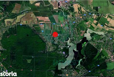 Teren de 5000 mp, în Gruiu