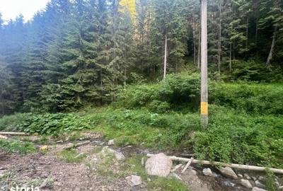 Teren de 500000 mp, în Ciocănești - 2