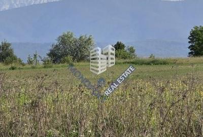 Teren de 896 mp, în Șercaia - 2